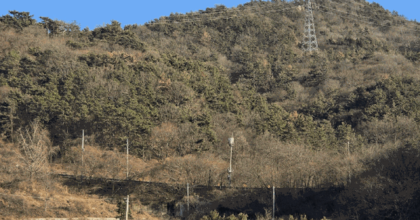 전남광주통합특별시 여수시 소라면 봉두리 산352 임야 경매 물건 이미지