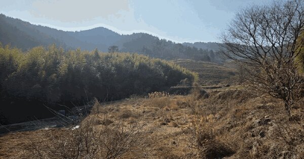 경상남도 남해군 창선면 가인리 288 답 경매 물건 이미지