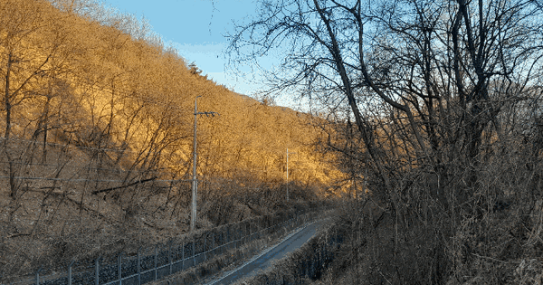충청남도 아산시 배방읍 신흥리 373-8 임야 경매 물건 이미지