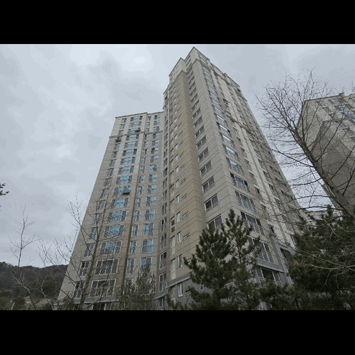 물건 사진
