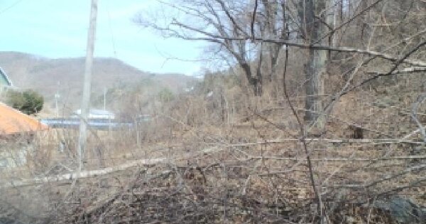 강원특별자치도 홍천군 서면 팔봉리 129-1 전 경매 물건 이미지