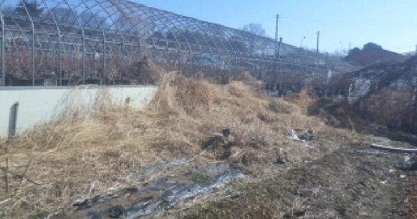 전북특별자치도 완주군 삼례읍 삼례리 186-3 전 경매 물건 이미지