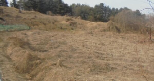 충청북도 음성군 감곡면 사곡리 74 과수원 경매 물건 이미지
