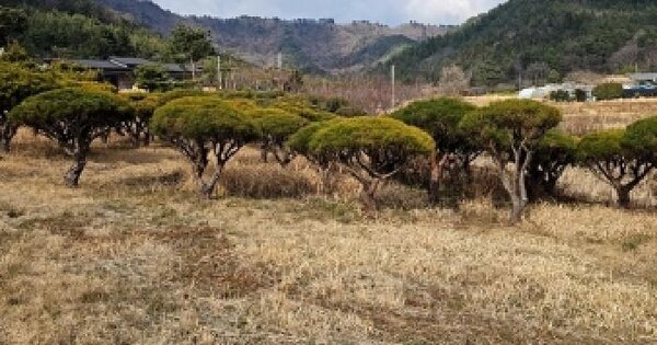전남광주통합특별시 해남군 계곡면 신평리 22 답 경매 물건 이미지