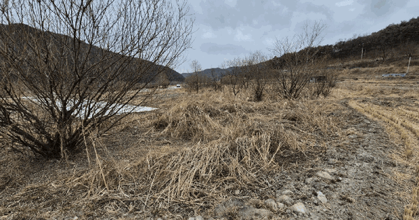 대구광역시 달성군 가창면 주리 109-1 답 경매 물건 이미지