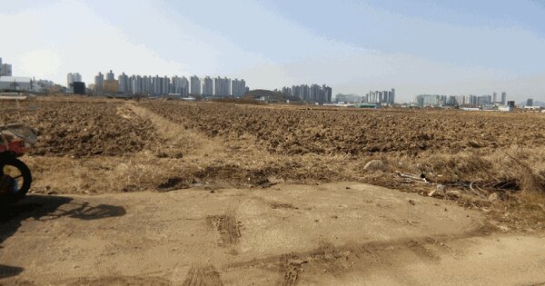 광주광역시 북구 지야동 787-13 답 경매 물건 이미지