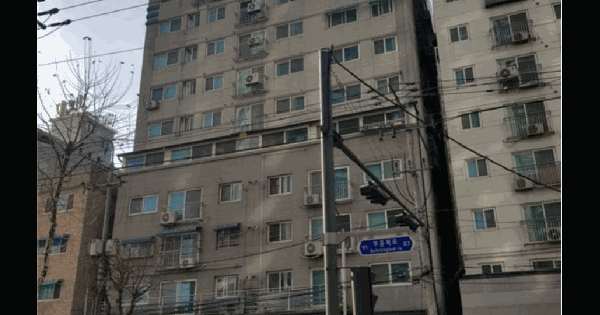 인천광역시 부평구 부평동 119-7 로뎀레뷰  3층303호 오피스텔 경매 물건 이미지