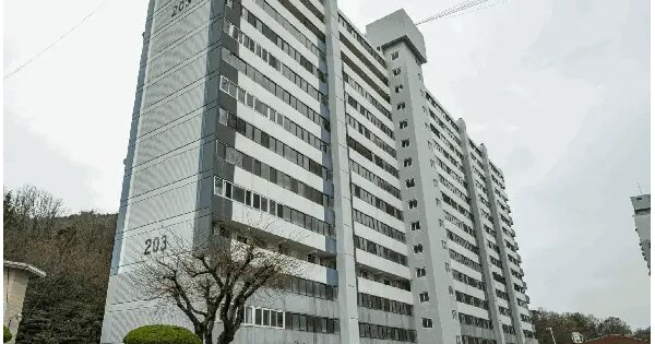 전라남도 여수시 선원동 1256 남양아파트 203동 7층709호 아파트 경매 물건 이미지
