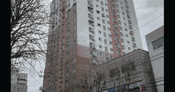 인천광역시 미추홀구 숭의동 182-4 다우림 201동 2층207호 오피스텔 경매 물건 이미지