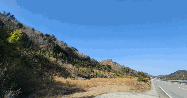 전남광주통합특별시 해남군 현산면 황산리 산105-14 임야 경매 물건 이미지