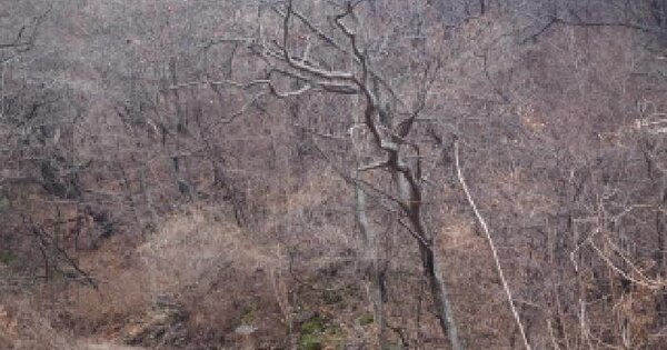 경상남도 밀양시 단장면 사연리 27-1 답 경매 물건 이미지