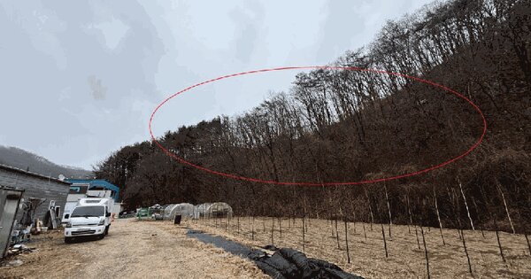 강원특별자치도 홍천군 서면 팔봉리 산214-5 임야 경매 물건 이미지