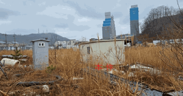 강원특별자치도 삼척시 사직동 441 대지 경매 물건 이미지