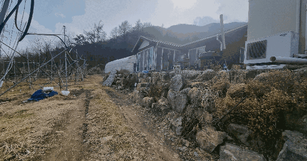 충청북도 보은군 삼승면 원남리 315-4 전 경매 물건 이미지