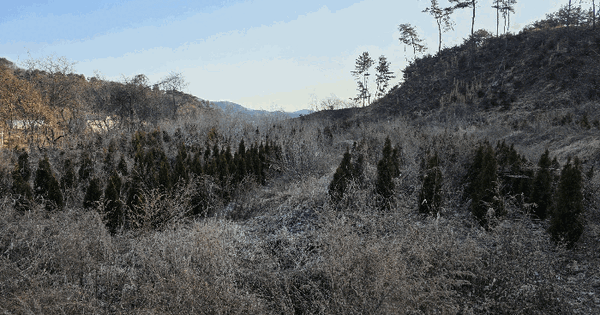 세종특별자치시 연서면 청라리 290 전 경매 물건 이미지