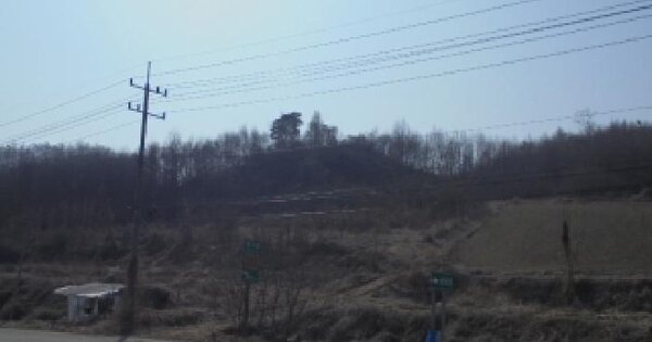 충청북도 진천군 진천읍 지암리 10-4 전 경매 물건 이미지