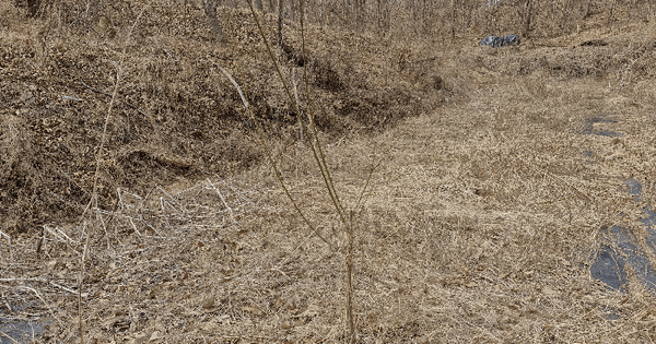 경상북도 성주군 벽진면 자산리 588 전 경매 물건 이미지