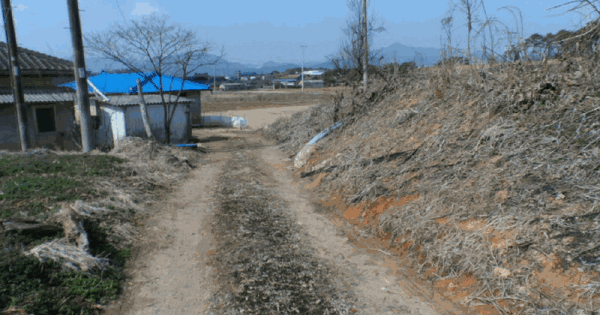 전남광주통합특별시 함평군 월야면 영월리 250 전 경매 물건 이미지