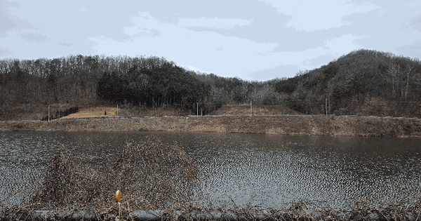 충청북도 음성군 음성읍 초천리 산63-1 임야 경매 물건 이미지