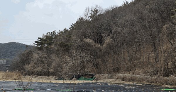 울산광역시 울주군 두동면 구미리 산230-1 임야 경매 물건 이미지