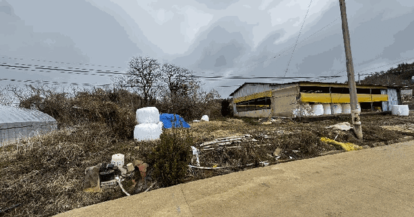 전남광주통합특별시 함평군 손불면 학산리 973-26 대지 경매 물건 이미지