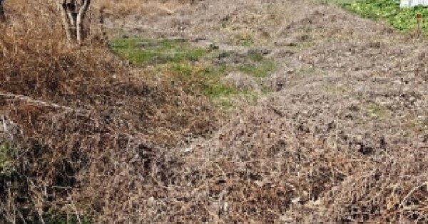 전남광주통합특별시 해남군 산이면 금호리 556 대지 경매 물건 이미지
