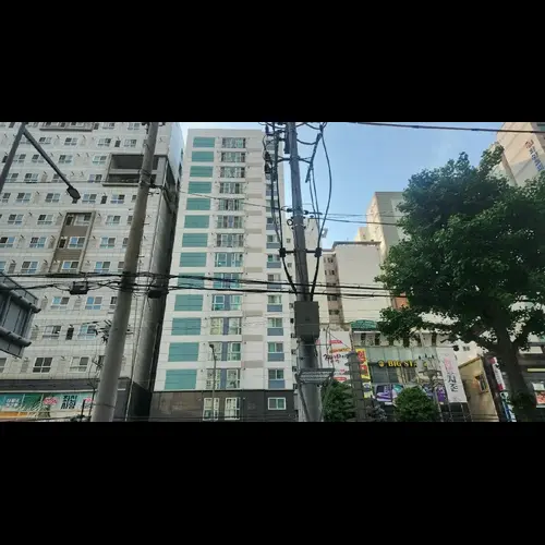 물건 사진
