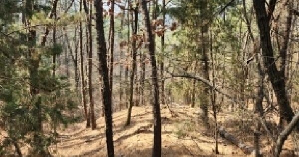 경기도 양주시 산북동 산30-1 임야 경매 물건 이미지