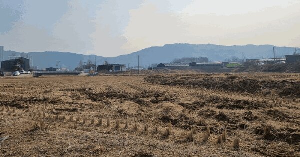 경기도 양주시 삼숭동 553-3 답 경매 물건 이미지