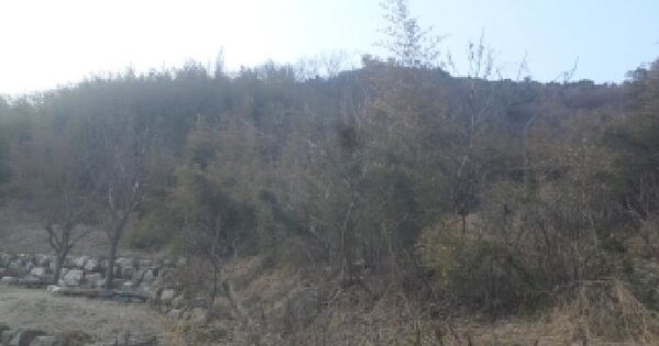 전북특별자치도 임실군 청웅면 두복리 271-1 임야 경매 물건 이미지