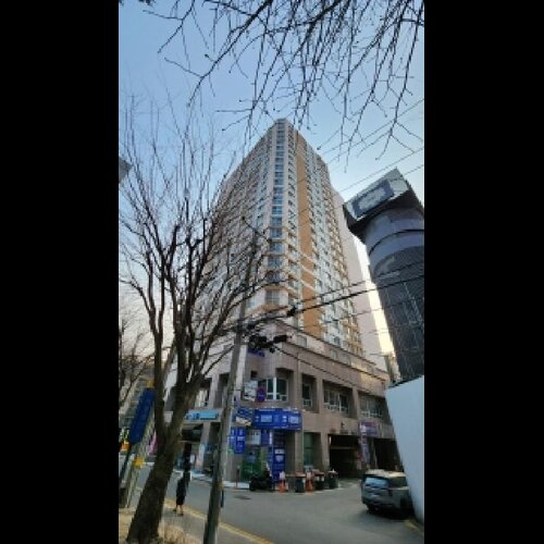 물건 사진