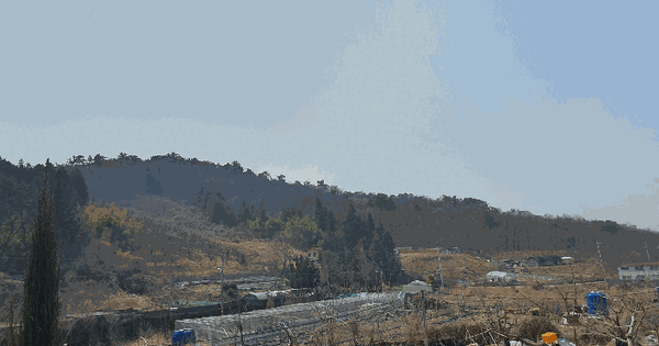 경상남도 창원시 의창구 도계동 산45-1 임야 경매 물건 이미지