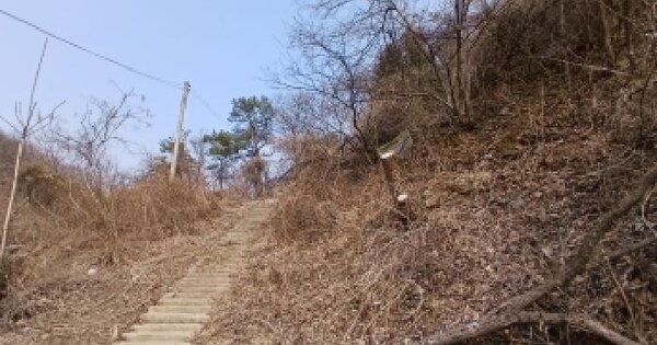 경기도 광주시 남한산성면 하번천리 산8-9 임야 경매 물건 이미지