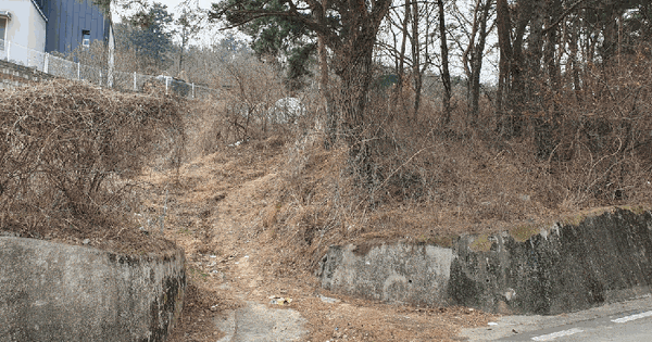 경상북도 고령군 개진면 인안리 177-1 전 경매 물건 이미지