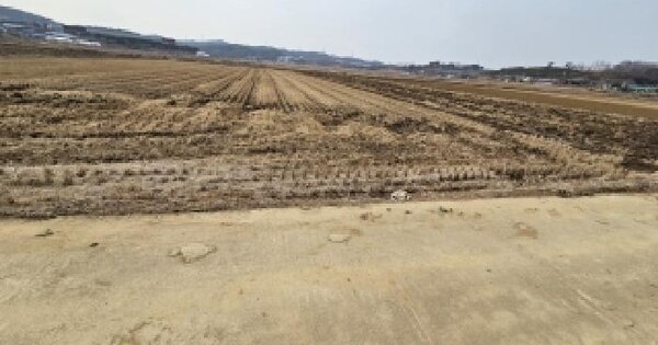 충청남도 당진시 송악읍 반촌리 912-10 답 경매 물건 이미지