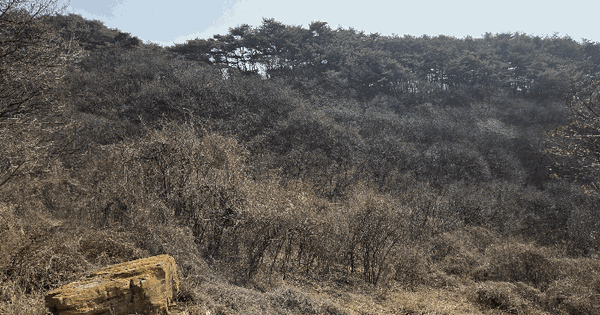 충청북도 충주시 수안보면 온천리 산18-9 임야 경매 물건 이미지