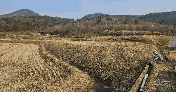 충청남도 예산군 예산읍 관작리 102 답 경매 물건 이미지