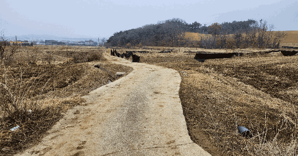 충청남도 예산군 예산읍 관작리 90-1 답 경매 물건 이미지