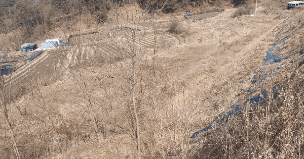 충청북도 청주시 상당구 가덕면 상대리 243 전 경매 물건 이미지