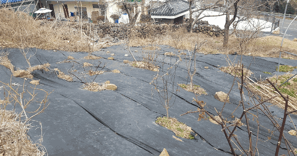 경상남도 산청군 시천면 외공리 128-4 과수원 경매 물건 이미지