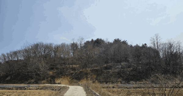 강원특별자치도 강릉시 주문진읍 주문리 1118-1 전 경매 물건 이미지