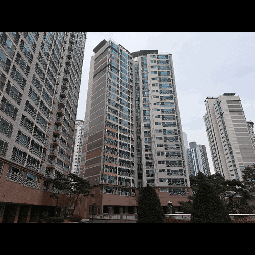 물건 사진