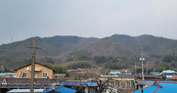 전라남도 고흥군 동강면 마륜리 산33-4 임야 경매 물건 이미지