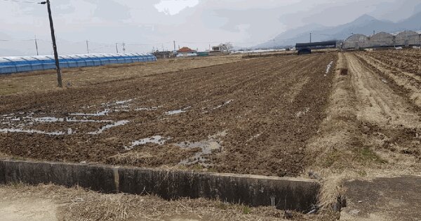 전라남도 담양군 봉산면 대추리 1282-12 답 경매 물건 이미지