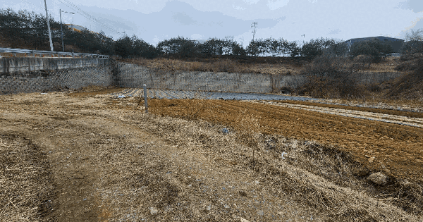 충청북도 괴산군 괴산읍 제월리 502-13 전 경매 물건 이미지