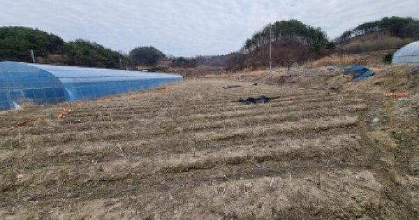 충청남도 금산군 금산읍 계진리 135-1 답 경매 물건 이미지