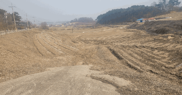충청남도 서산시 음암면 신장리 404-4 전 경매 물건 이미지