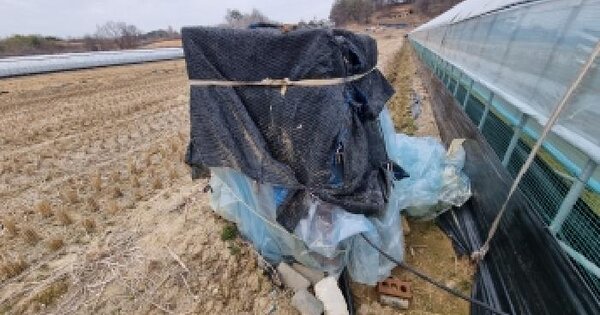 충청남도 금산군 금성면 양전리 510-7 답 경매 물건 이미지