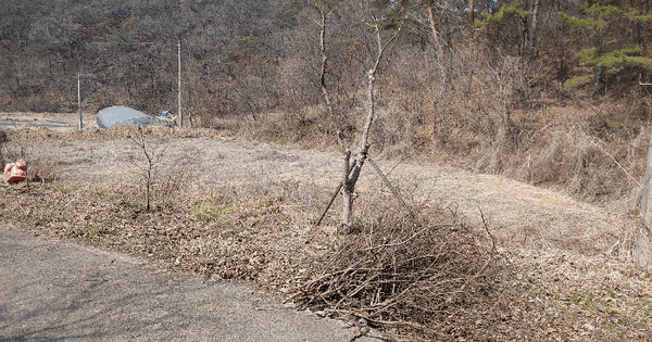 경상남도 진주시 명석면 용산리 276-2 답 경매 물건 이미지