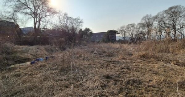 경기도 포천시 군내면 상성북리 314-2 답 경매 물건 이미지